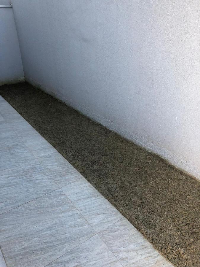 Apto Terreo Com Piscina, Quintal E Churrasqueira Apartamento Ubatuba